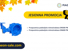 Jesienna promocja 2024- przepustnica podwójnie mimośrodowe