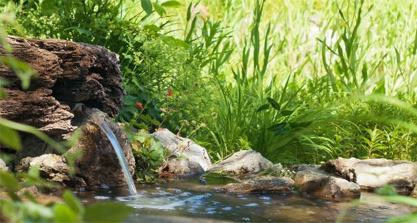 Quality, Safety & the Environment