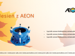 Jesień z AEON - Łącznik rurowo-kołnierzowy uniwersalny