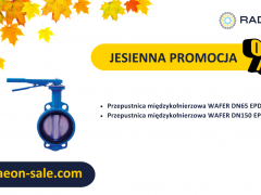 Jesienna promocja 2024 - przepustnica międzykołnierzowa WAFER