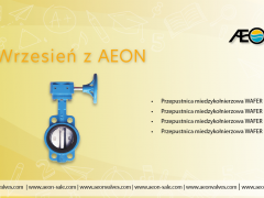 Wrzesień z AEON - Przepustnica międzykołnierzowa WAFER
