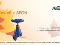 Jesień z AEON - Zasuwy gwintowane GW-GW